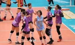 山东队女球迷爆料新闻,揭秘赛场背后的故事